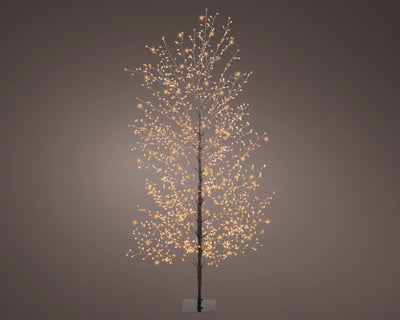 Micro LED Tree Steady - Outdoor - Black / Classic Warm