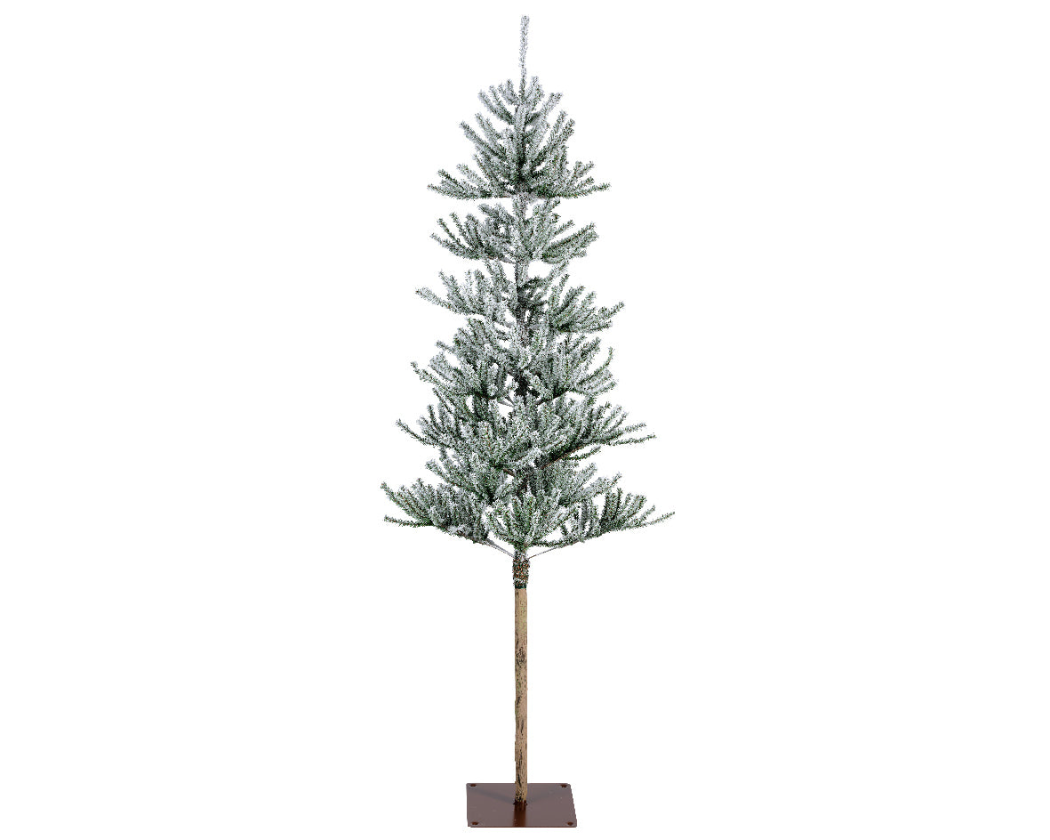 Oppdal Pine Snowy - Green / White