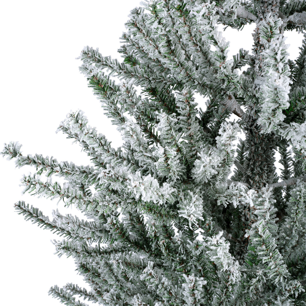 Oppdal Pine Snowy - Green / White