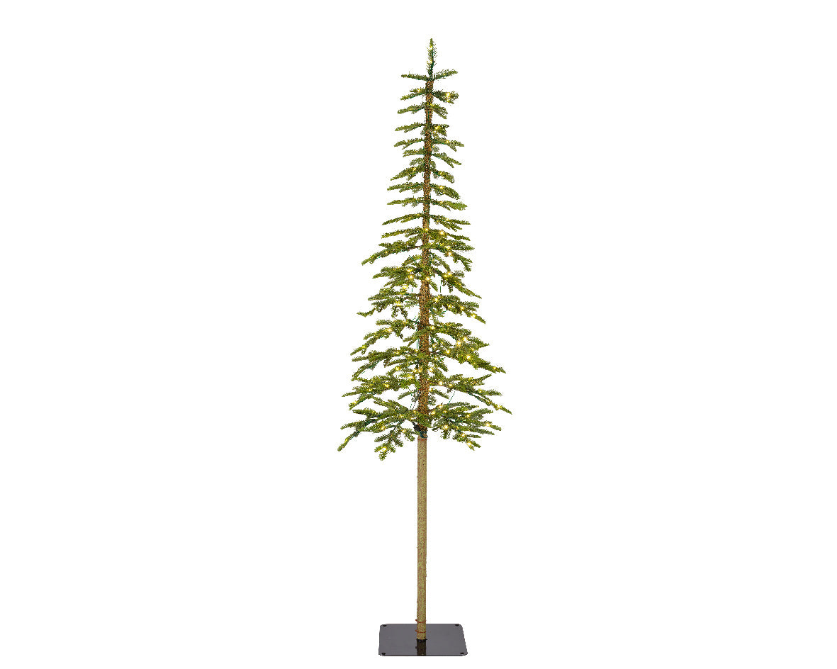 Alpine Fir,  Indoor - Green / Warm White