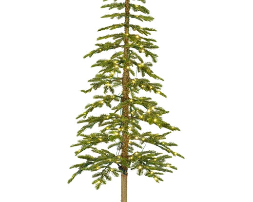 Alpine Fir,  Indoor - Green / Warm White