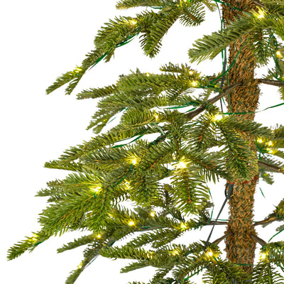 Alpine Fir,  Indoor - Green / Warm White