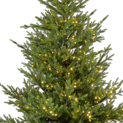 Norway Spruce, Indoor - Green / Warm White