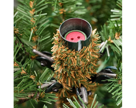 Norway Spruce, Indoor - Green / Warm White