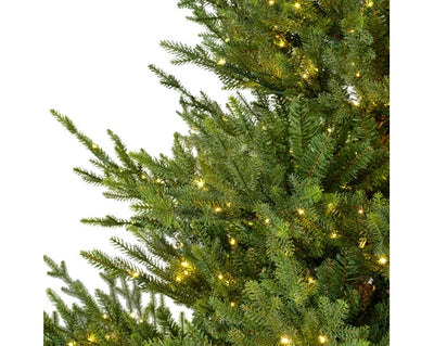 Norway Spruce, Indoor - Green / Warm White