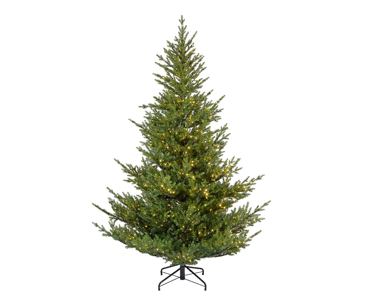 Norway Spruce, Indoor - Green / Warm White