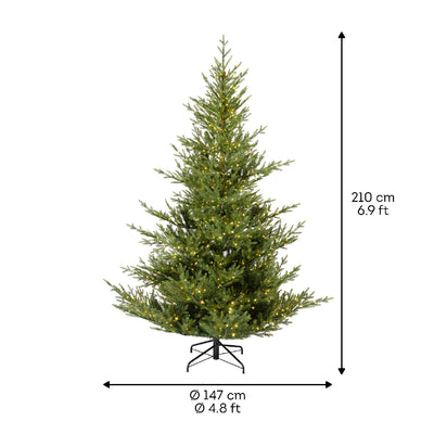 Norway Spruce, Indoor - Green / Warm White