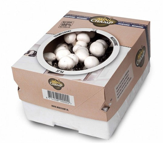 Mc8002 Mushrooms White 7,5Ltr 4 Packs