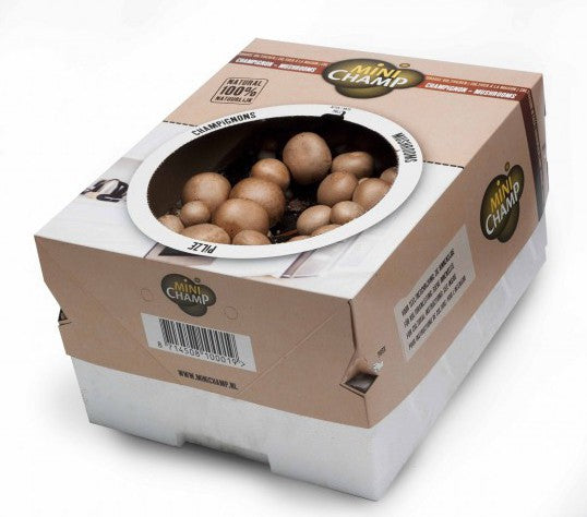 Mc8002 Mushrooms Brown 7,5Ltr 4 Packs