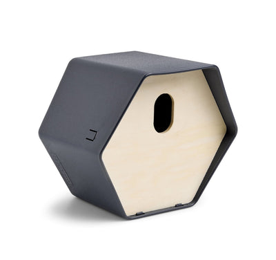 Bird House 2 Hive 23x19x20cm Anthracite