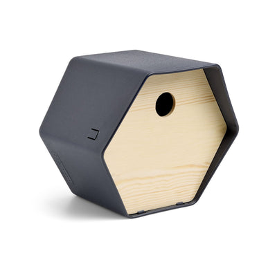 Bird House 1 Hive 23x19x20cm Anthracite