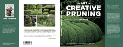 The Art of Creative Pruning