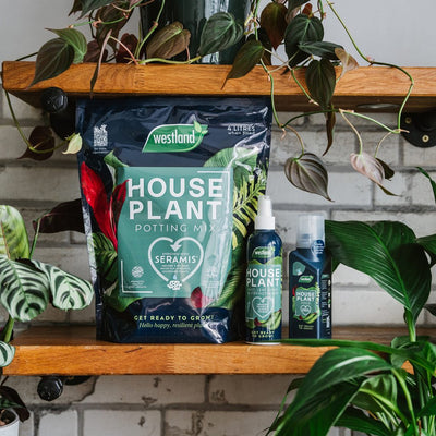 Westland Houseplant Potting Mix 4L