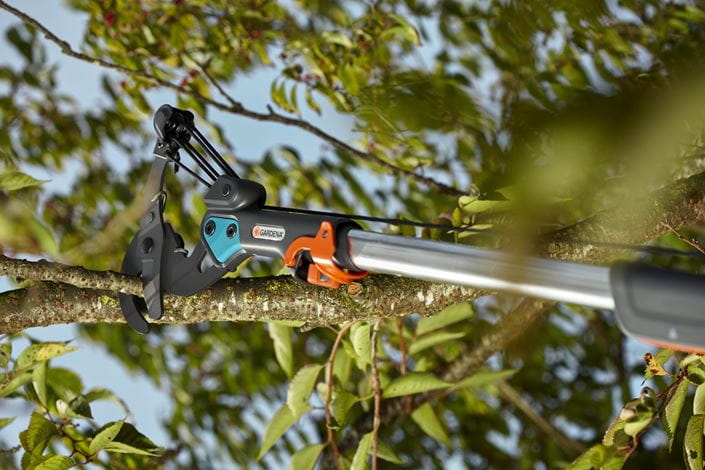 Combisystem Bypass Branch Pruner