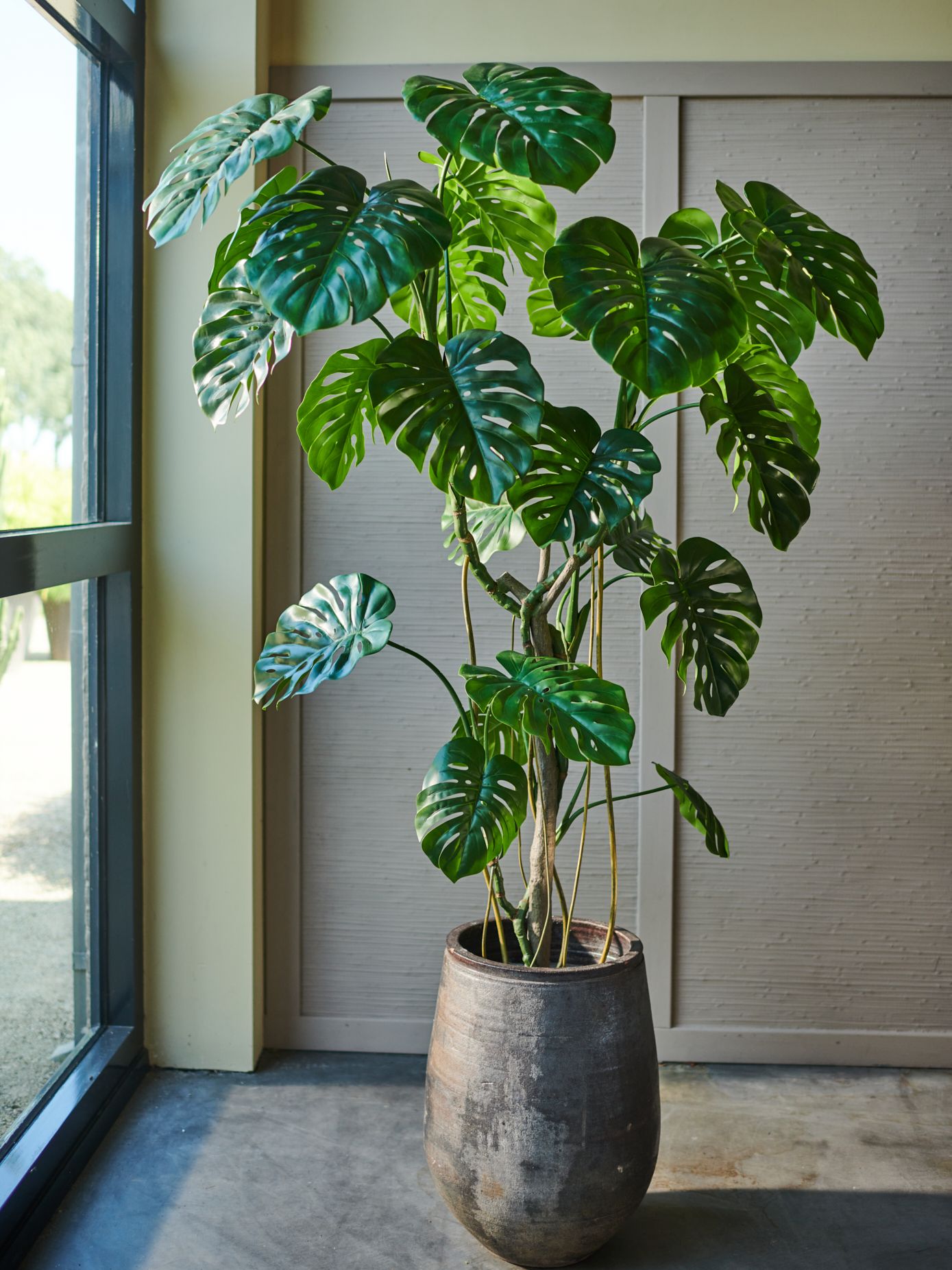 Monstera Green 210cm