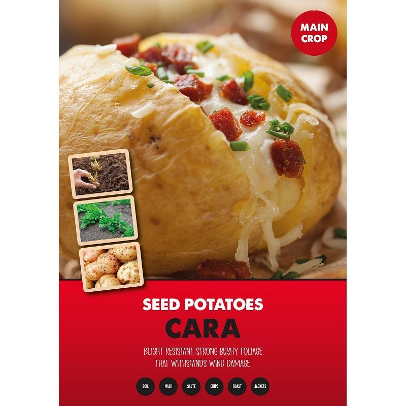 Cara Seed Potatoes - 2kg 35-60mm