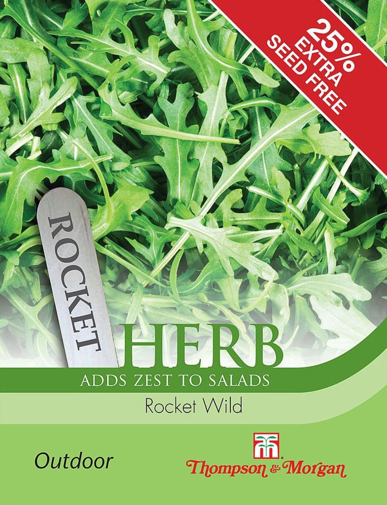 Herb Rocket Wild