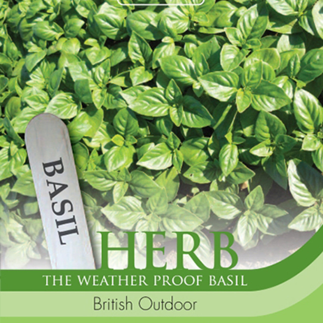 Herb Basil British Outdoor