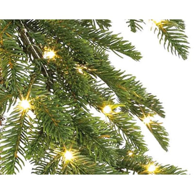 Alpine Fir with Micro Led, Indoor - 6ft (180cm) - Warm White