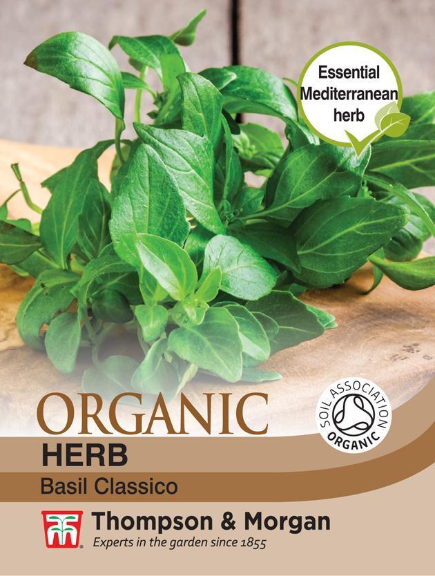 Herb Basil Classico (Organic) - The Pavilion