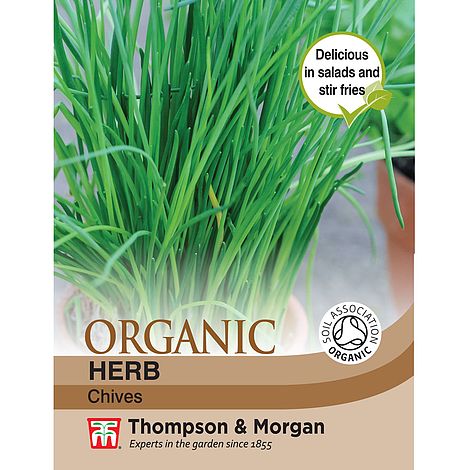 Herb Chives (Organic) - The Pavilion