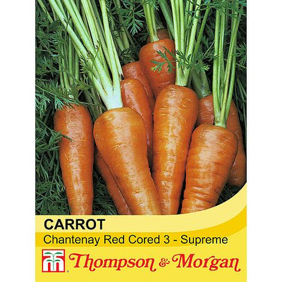 Carrot Chantenay Red Cored 3 - Supreme - The Pavilion