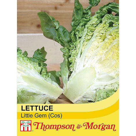 Lettuce Little Gem - The Pavilion