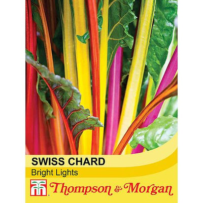 Swiss Chard Bright Lights - The Pavilion