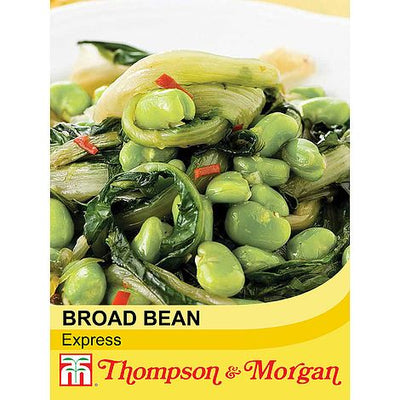 Broad Bean Express - The Pavilion