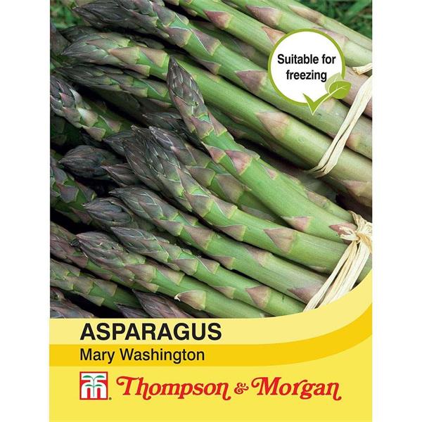 Asparagus Mary Washington - The Pavilion