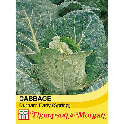 Cabbage Durham Early - The Pavilion