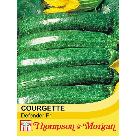 Courgette Defender F1 Hybrid - The Pavilion