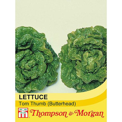 Lettuce Tom Thumb - The Pavilion