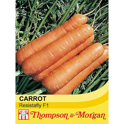 Carrot Resistafly ‘Tozresis’ F1 Hybrid - The Pavilion