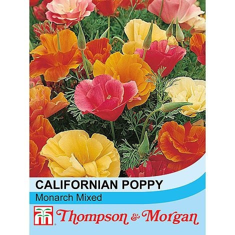 Californian Poppy Mixed - The Pavilion