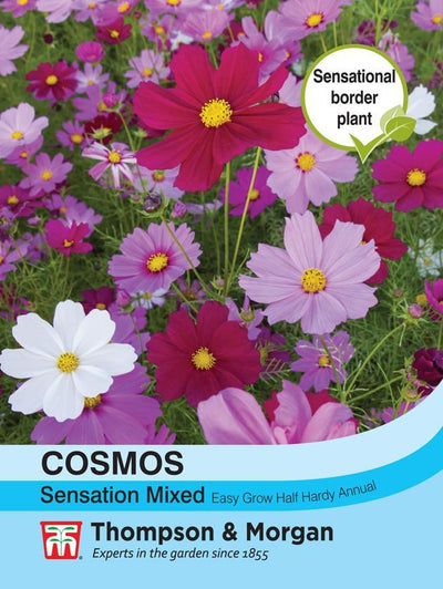 Cosmos Sensation Mixed - The Pavilion