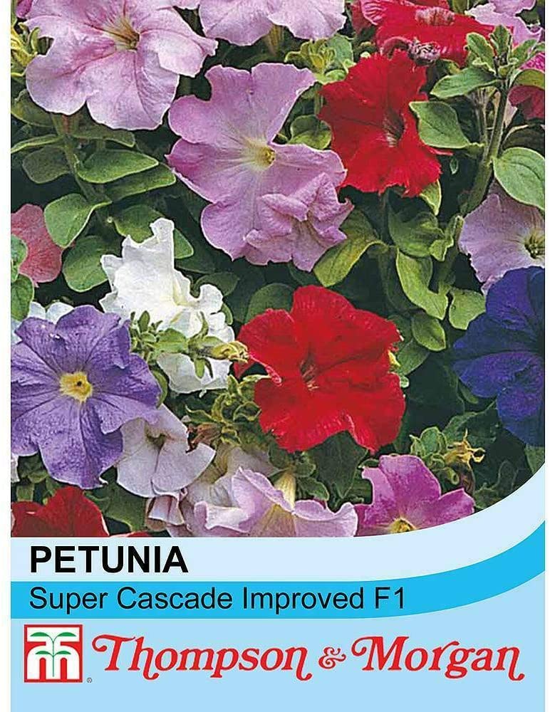 Petunia Super Cascade Improved Mixed F1 Hybrid - The Pavilion