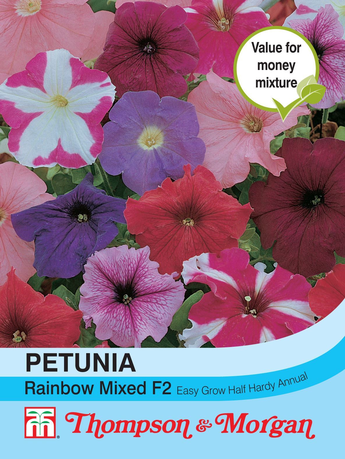 Petunia Rainbow Mixed F2 Hybrid - The Pavilion