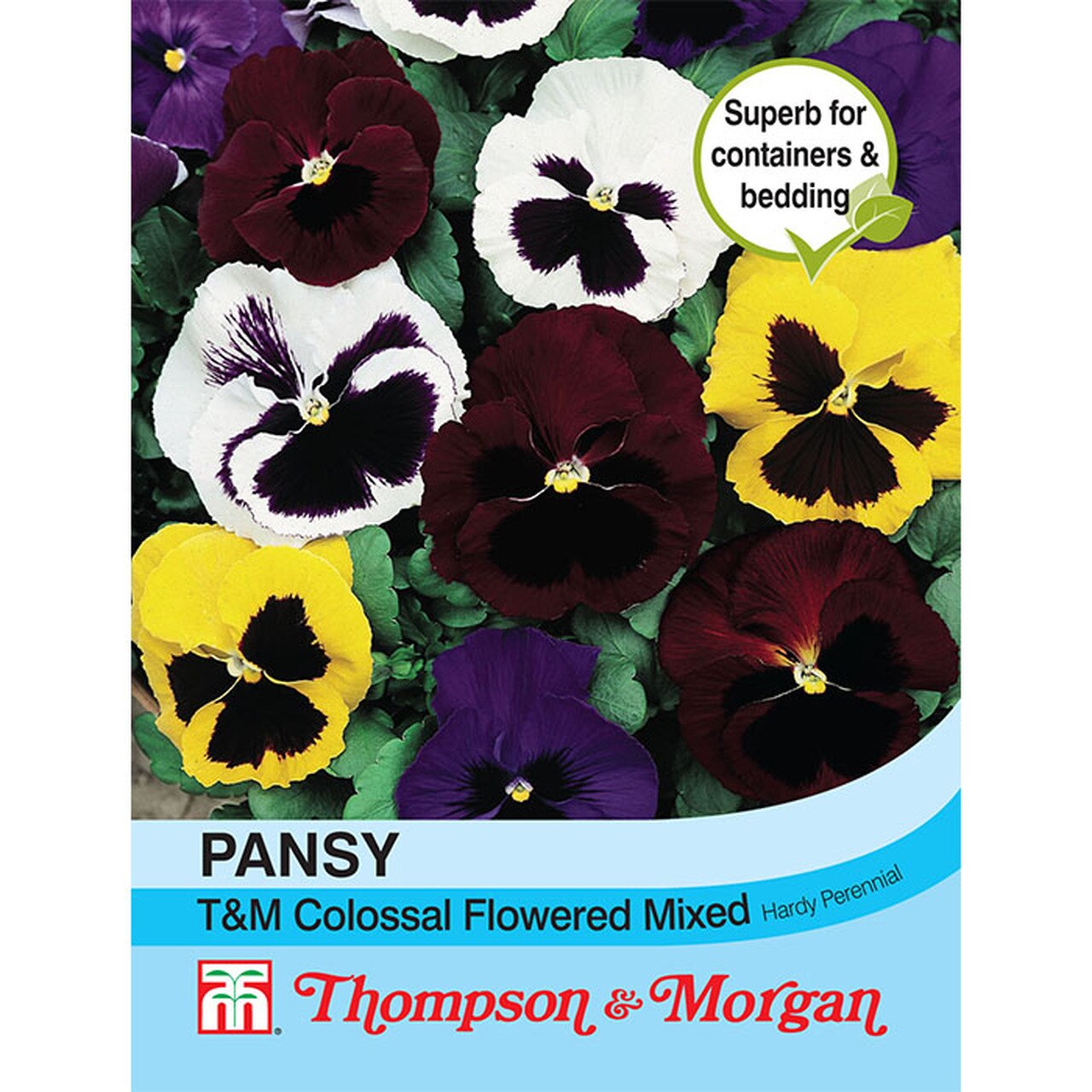 Pansy T&M Colossal Flowered Mixed - The Pavilion