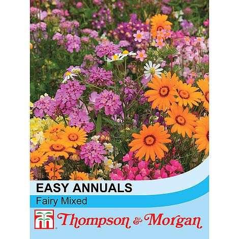 Easy Annuals Fairy Mixed - The Pavilion