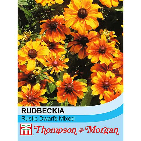 Rudbeckia Rustic Dwarfs Mixed - The Pavilion