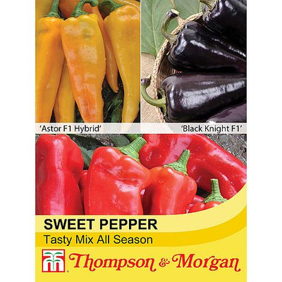 Pepper Sweet Tasty Mix F1 Hybrid - The Pavilion