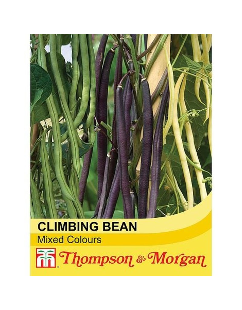 Climbing Bean Mixed - The Pavilion