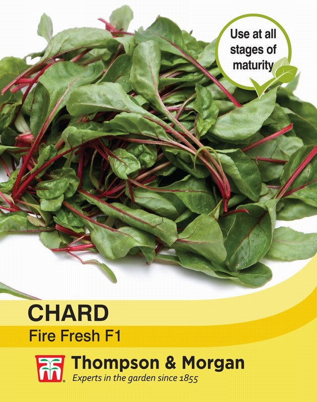 Chard Fire Fresh - The Pavilion