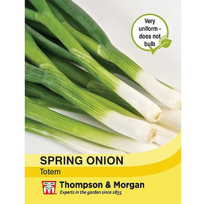 Spring Onion Totem - The Pavilion