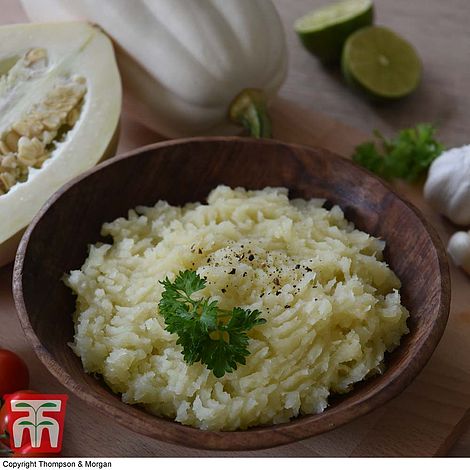 Squash Mashed Potato - The Pavilion