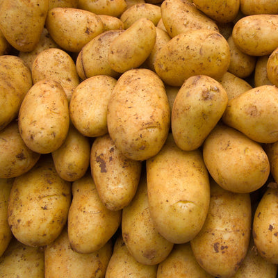 Premiere Seed Potatoes - 5kg 35-60mm