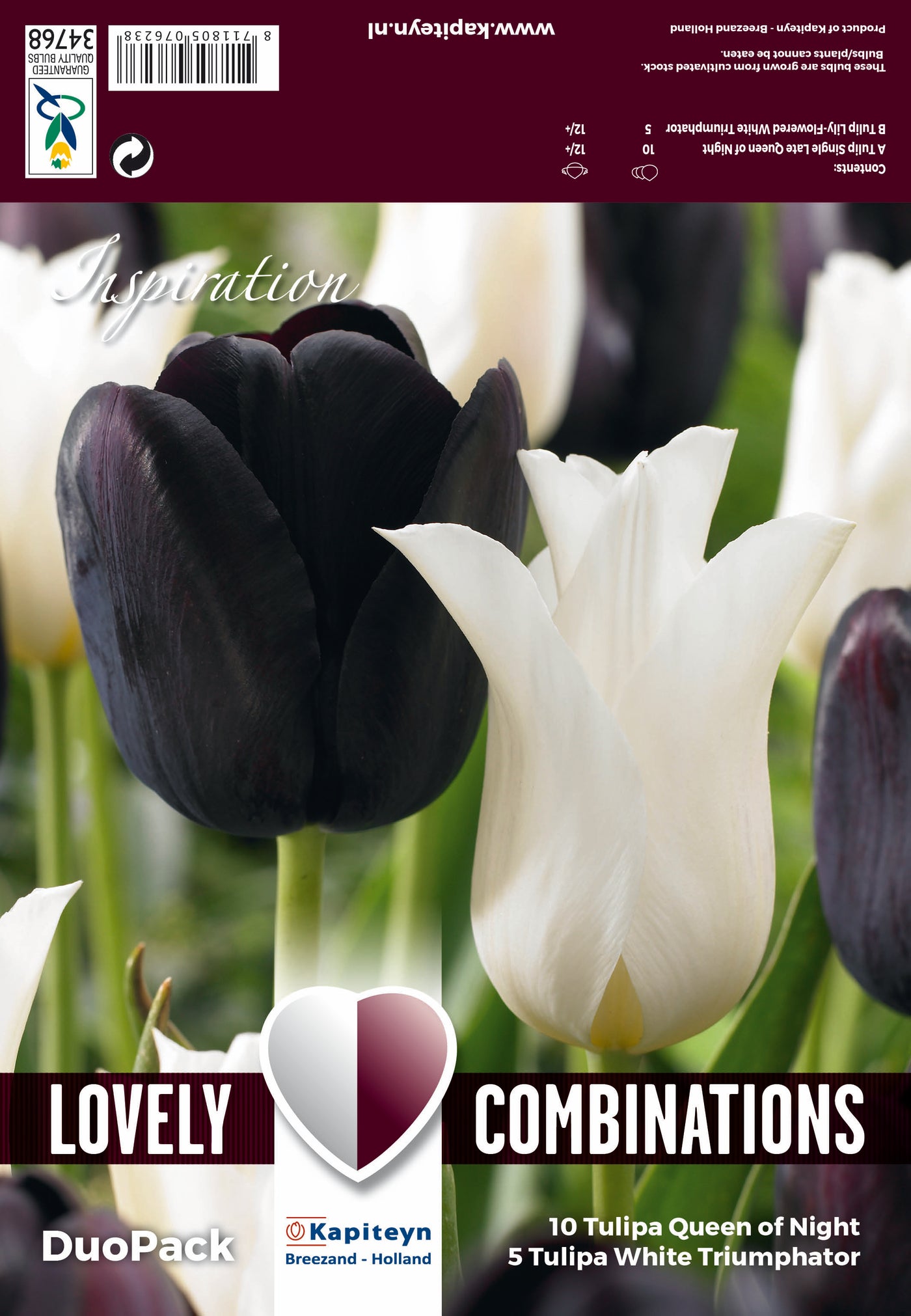 Combi Tulip Duopack Black And White